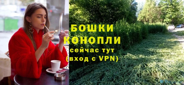 крисы Белокуриха