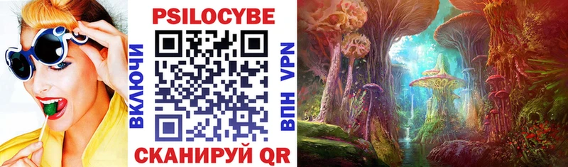 купить  цена  Калининец  Галлюциногенные грибы MAGIC MUSHROOMS 